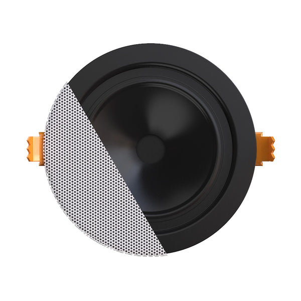 CENA306I/W 2,5" 6W @ 100V