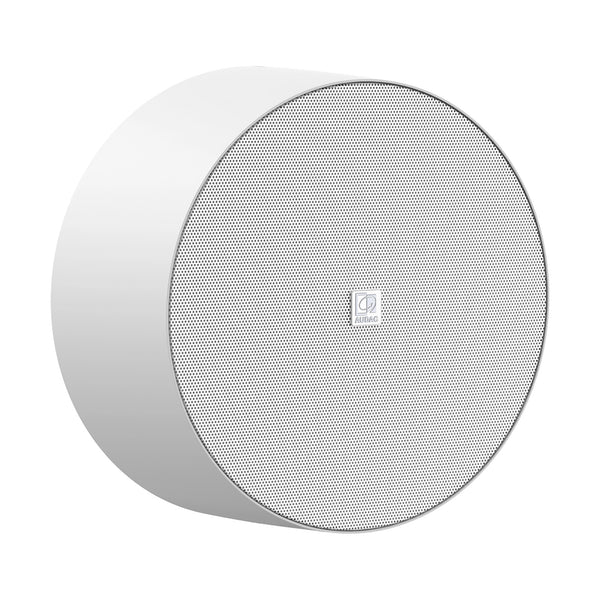 NELO706I/W 6.5" 6W @ 100V