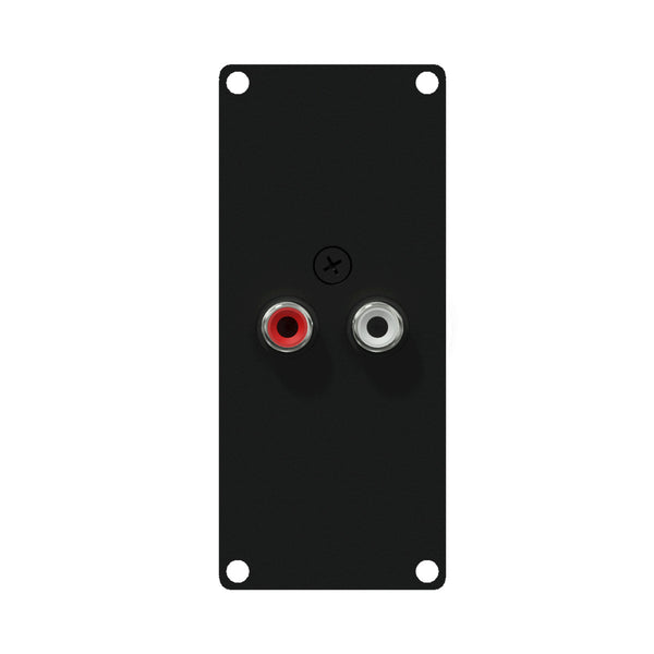 CASY132/B 2 X RCA 1P PLINT