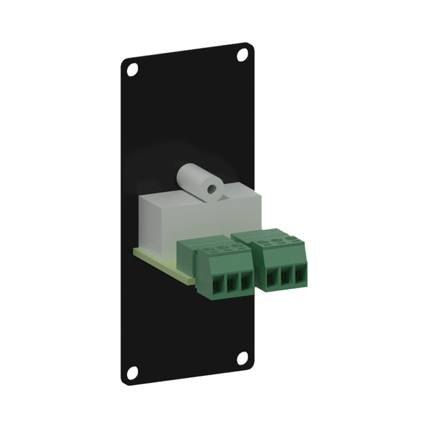 CASY132/B 2 X RCA 1P PLINT