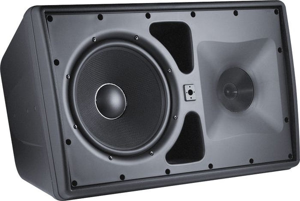 Control 30AV Svart. 3-vägs med 10"bas, 5" mid + horn, Allväder. 4 Ohm + 100V.