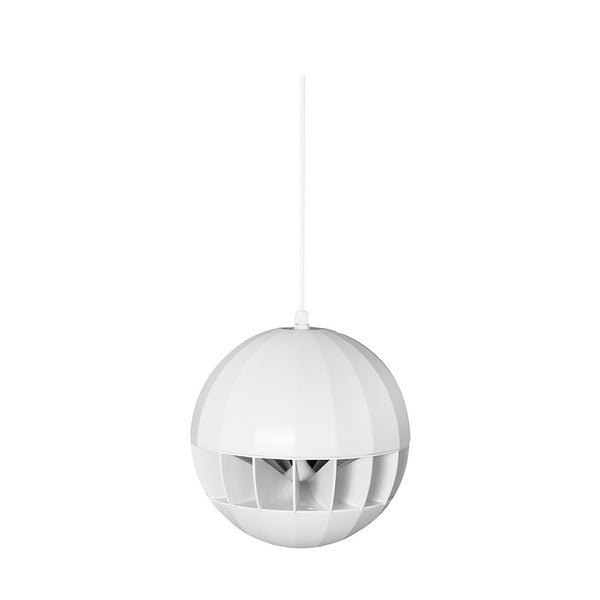 ASP20/W IP56, 8" 20 W @ 100V